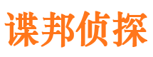 清流市侦探调查公司